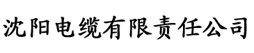 91黑料国产吃瓜在线电缆厂logo